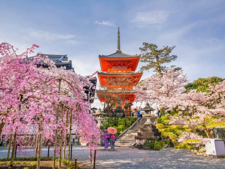 Guidance for temple tourism: 10 tips for your spiritual journey in Asia