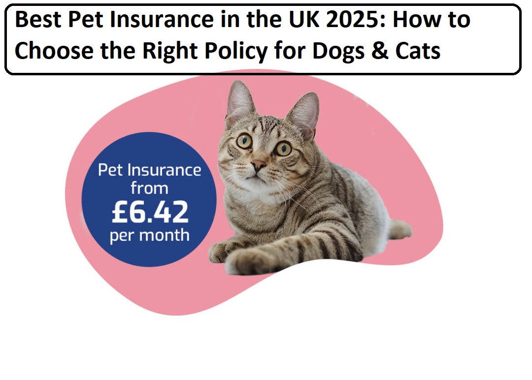 Best Pet Insurance in the UK 2025: How to Choose the Right Policy for Dogs & Cats